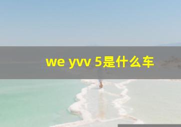 we yvv 5是什么车